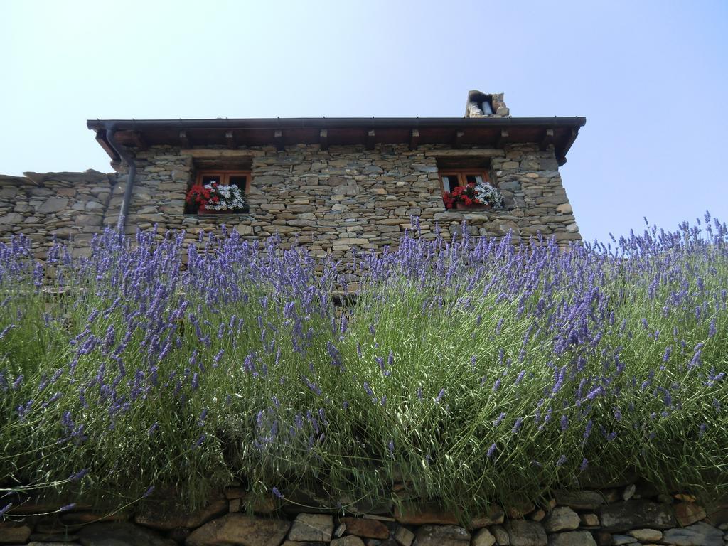 Agriturismo La Fontana Dell'olmo Casa di campagna